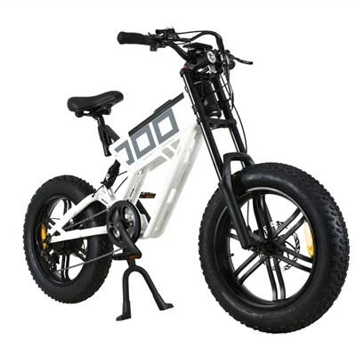 20 Inch Sport Electric Bike